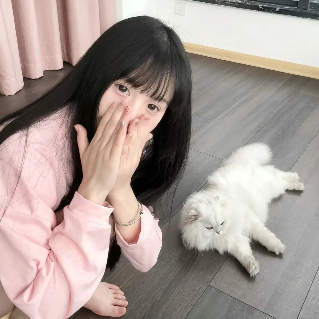 红盾先锋