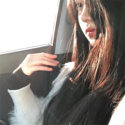 极秘搜查