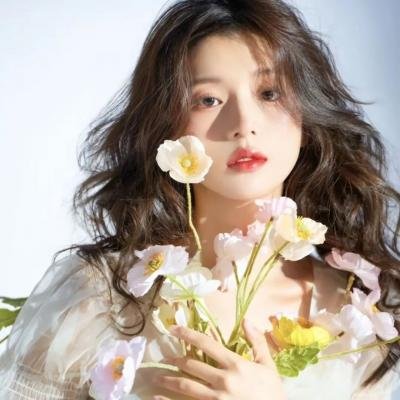 芬奇达