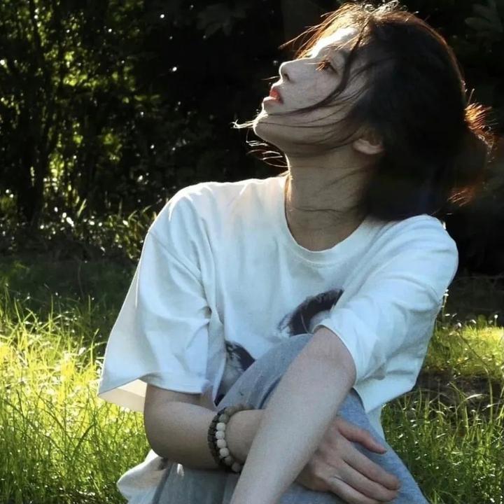 领头羊